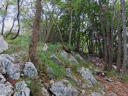 MONTE CASTELLO (croce 1425 – cima 1474 m) da Valpiana di Serina il 29 settembre 2024 - FOTOGALLERY